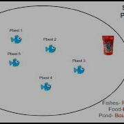 Particle Swarm Optimisation PSO Algorithm In 30secs