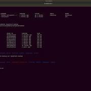 How To Take Backup Of A Container In Docker