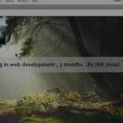 Flash Picture Gallery Using The Transition Manager Class Actionscript 3