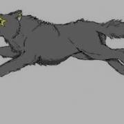 Vash Wolf Run Cycle Animation