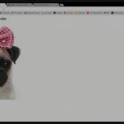 Accessing Your Website With Codeanywhere