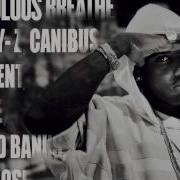 Breathe Remix Fabolous Ft Jay Z Canibus 50 Cent Mase Lloyd Banks Papoose