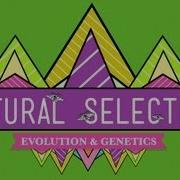 Natural Selection Crash Course Biology 14
