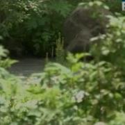 07 Чудо России 18 07 2012