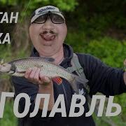 MISHGONE Feat Галка Голавль Prod By Kall Music