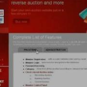 Penny Auction Script