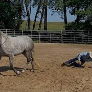 Best Way To Not Fall Off Your Horse