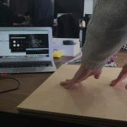 Sensor Tile For Google DevArt
