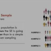 M3T8 Systematic Sampling