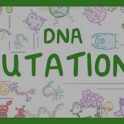 GCSE Biology What Are DNA Mutations 2026 27 Exams