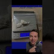 Dumbest Drug Dealer Ever Florida Man Accused Of Mistakenly Setting Up Drug Deal With Commissioner