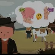 History Of Vaccination Smallpox Vaccines