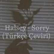 Halsey Sorry Türkçe Çeviri