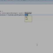 Java Runtime Environment JRE Version