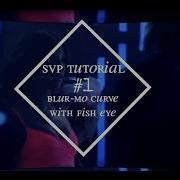 Svp Tutorial 1 Grid With Fish Eye