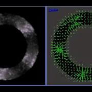 170112 Vector Field Transport 10 Cargo Particles