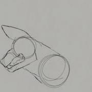 Wolf Animation Test 2