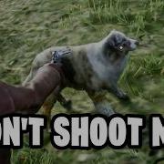 Trolling The Weirdest Roleplayers In Red Dead RP