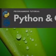 Number Pyramid In Python