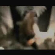BEHEMOTH Conquer All OFFICIAL MUSIC VIDEO