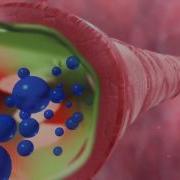 What Happens To Your Airways During Asthma 3D Animation Explained
