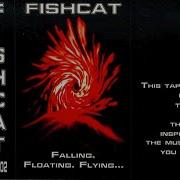 Fishcat Falling Floating Flying Dedicated To Curley Face A 1999