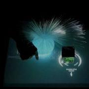 Multitouch Table Bar Application By Freshpatata Reactivision Fiducials Flash