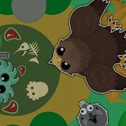 ULTRA RARE 1 5000 GOLDEN SHAHBAZ TROLLING IN MOPE IO