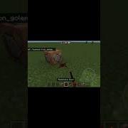 How To Spawn Unlimited Iron Golem With Command Block Minecraft