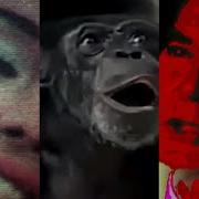 SARIN BESTIAL NATURE Official Video