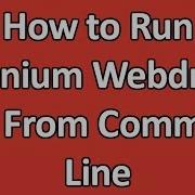 Run Selenium Script Using Batch File