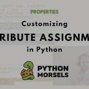 Customizing Attribute Assignment In Python