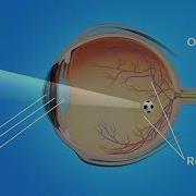 How The Eye Works