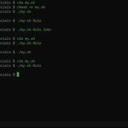 BASH Fallback To Default Variables Linux Shell Tutorial