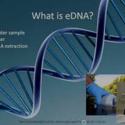 Tara Grosemans Detection And Degradation Of Environmental DNA EDNA In The Marine Environment