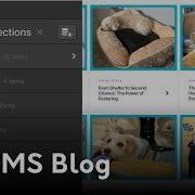 How To Build A Custom Webflow CMS Blog Full Tutorial 2026
