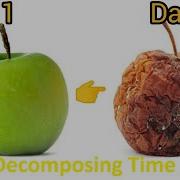 Food Decomposing Time Lapse Apple Shorts