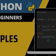 Python For Beginners Tuples Explained