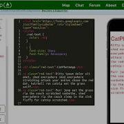 FreeCodeCamp Import Google Font