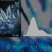 Camellia Light It Up From Crystallized