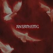 EVAN PACK ANESTHETIC Instrumental