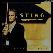 Sting Fields Of Gold 1993 Magmums Extended Mix