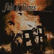 EGxHC Field Of Flames Suspend This Life 2023 Full EP