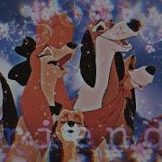 Animash Friends