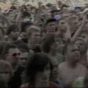 Broilers Live