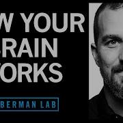 How Your Brain Works Changes