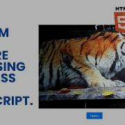 Webcam Image Capture Tool Using HTML CSS And JavaScript