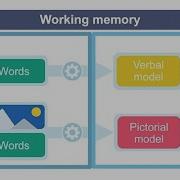 The Role Of Working Memory For Learning