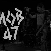 MOB 47 14 11 2025 GATO CALAVERA CDMX