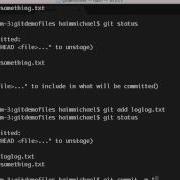 The Git Checkout Command In Git